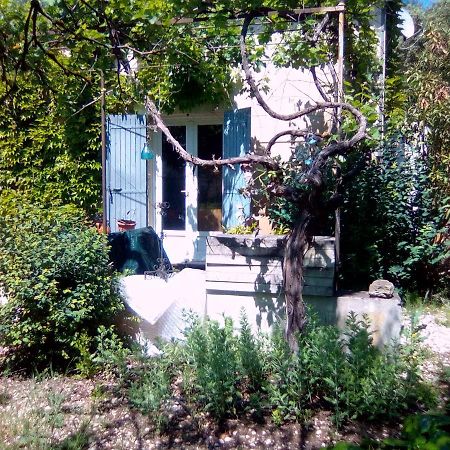 Le Domaine De Belle Bed & Breakfast LʼIsle-sur-la-Sorgue Екстериор снимка