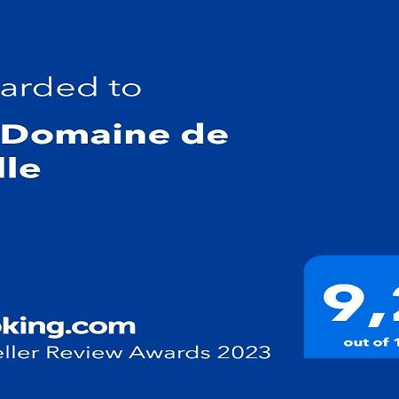 Le Domaine De Belle Bed & Breakfast LʼIsle-sur-la-Sorgue Екстериор снимка