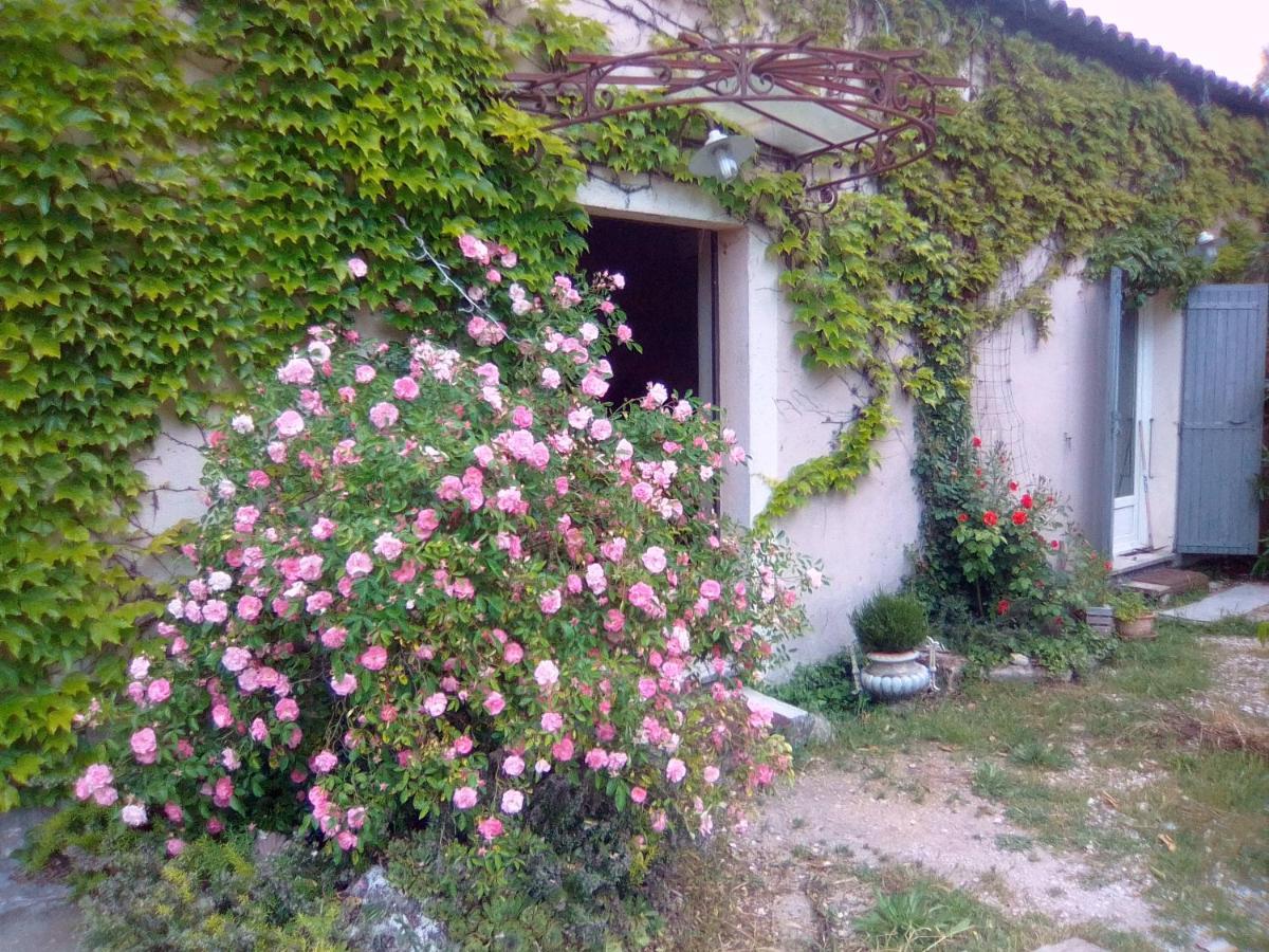 Le Domaine De Belle Bed & Breakfast LʼIsle-sur-la-Sorgue Екстериор снимка
