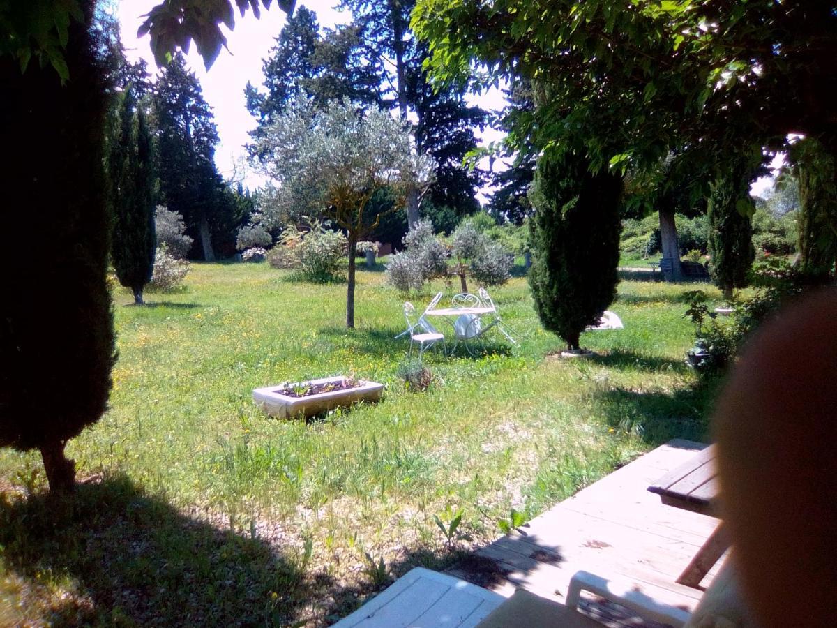 Le Domaine De Belle Bed & Breakfast LʼIsle-sur-la-Sorgue Екстериор снимка